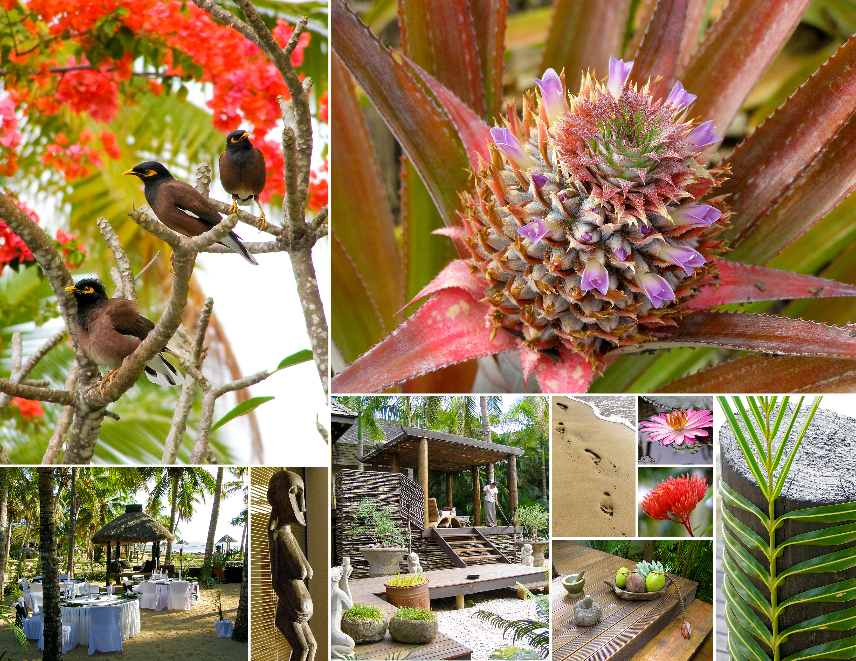 Fiji Calendar Page_3