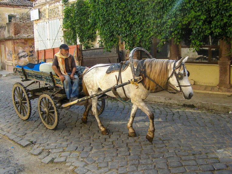 Horse Drawn Carriage